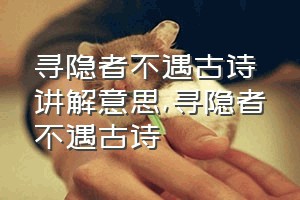 寻隐者不遇古诗讲解意思（寻隐者不遇古诗）