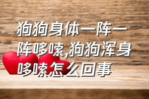 狗狗身体一阵一阵哆嗦（狗狗浑身哆嗦怎么回事）