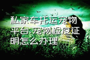 私家车托运宠物平台（宠物检疫证明怎么办理）