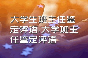 大学生班主任鉴定评语（大学班主任鉴定评语）