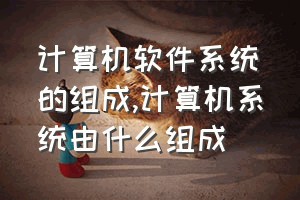 计算机软件系统的组成（计算机系统由什么组成）