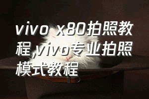 vivo x80拍照教程（vivo专业拍照模式教程）