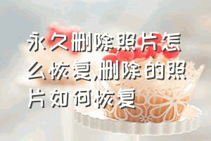 永久删除照片怎么恢复（删除的照片如何恢复）