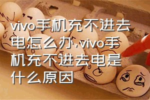 vivo手机充不进去电怎么办（vivo手机充不进去电是什么原因）