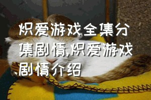 炽爱游戏全集分集剧情（炽爱游戏剧情介绍）