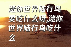 迷你世界陆行鸟要吃什么呀（迷你世界陆行鸟吃什么）