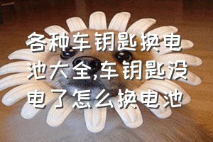 各种车钥匙换电池大全（车钥匙没电了怎么换电池）