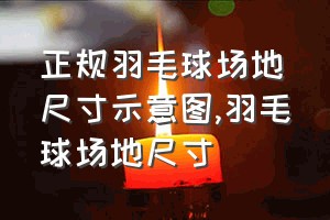 正规羽毛球场地尺寸示意图（羽毛球场地尺寸）