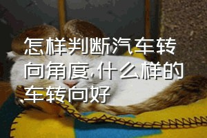 怎样判断汽车转向角度（什么样的车转向好）