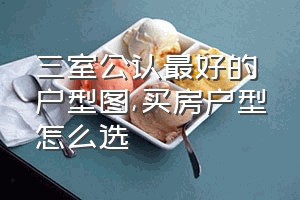 三室公认最好的户型图（买房户型怎么选）