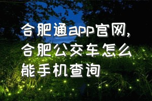 合肥通app官网（合肥公交车怎么能手机查询）