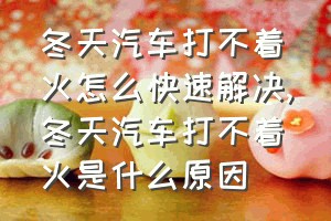 冬天汽车打不着火怎么快速解决（冬天汽车打不着火是什么原因）