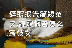 辞职报告简短范文（辞职报告怎么写范文）