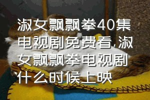 淑女飘飘拳40集电视剧免费看（淑女飘飘拳电视剧什么时候上映）