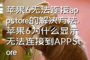 苹果6无法连接appstore的解决方法（苹果6为什么显示无法连接到APPStore）