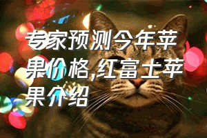 专家预测今年苹果价格（红富士苹果介绍）