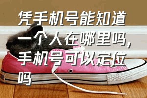 凭手机号能知道一个人在哪里吗（手机号可以定位吗）