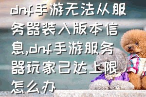 dnf手游无法从服务器装入版本信息（dnf手游服务器玩家已达上限怎么办）