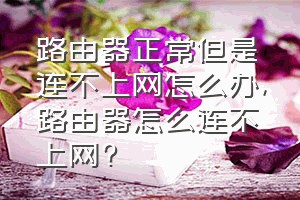 路由器正常但是连不上网怎么办（路由器怎么连不上网?）