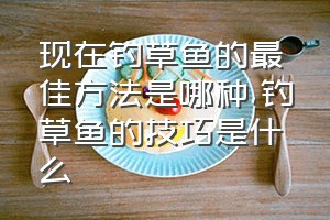 现在钓草鱼的最佳方法是哪种（钓草鱼的技巧是什么）