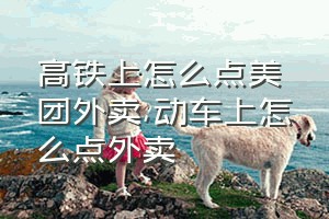 高铁上怎么点美团外卖（动车上怎么点外卖）