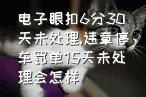 电子眼扣6分30天未处理（违章停车罚单15天未处理会怎样）