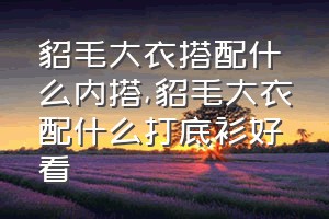 貂毛大衣搭配什么内搭（貂毛大衣配什么打底衫好看）