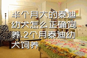 半个月大的泰迪幼犬怎么正确饲养（2个月泰迪幼犬饲养）