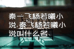 秦一飞杨若曦小说（秦飞杨若曦小说叫什么名）