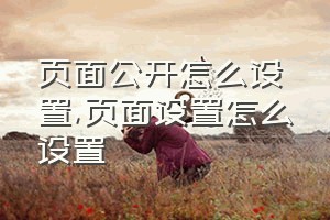 页面公开怎么设置（页面设置怎么设置）