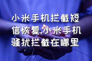 小米手机拦截短信恢复（小米手机骚扰拦截在哪里）