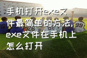 手机打开exe文件最简单的方法（exe文件在手机上怎么打开）