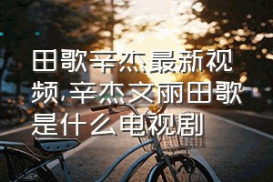 田歌辛杰最新视频（辛杰文丽田歌是什么电视剧）