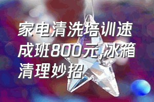 家电清洗培训速成班800元（冰箱清理妙招）