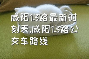 咸阳13路最新时刻表（咸阳13路公交车路线）