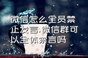 微信怎么全员禁止发言（微信群可以全体禁言吗）