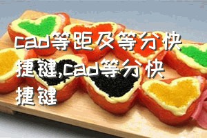 cad等距及等分快捷键（cad等分快捷键）