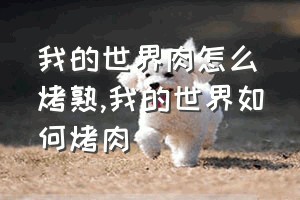 我的世界肉怎么烤熟（我的世界如何烤肉）