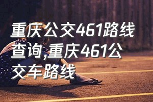 重庆公交461路线查询（重庆461公交车路线）