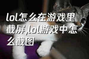 lol怎么在游戏里截屏（lol游戏中怎么截图）