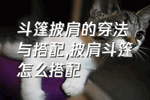 斗篷披肩的穿法与搭配（披肩斗篷怎么搭配）