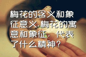 梅花的含义和象征意义（梅花的寓意和象征，代表了什么精神?）