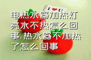 电热水器加热灯亮水不热怎么回事（热水器不加热了怎么回事）