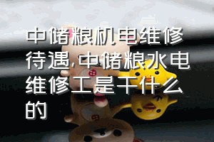 中储粮机电维修待遇（中储粮水电维修工是干什么的）