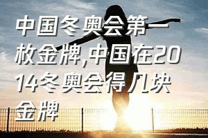 中国冬奥会第一枚金牌（中国在2014冬奥会得几块金牌）