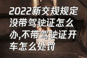 2022新交规规定没带驾驶证怎么办（不带驾驶证开车怎么处罚）