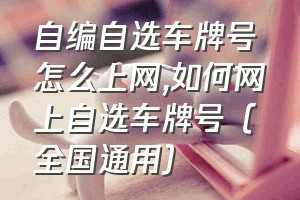 自编自选车牌号怎么上网（如何网上自选车牌号（全国通用））