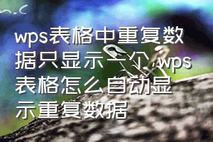 wps表格中重复数据只显示一个（wps表格怎么自动显示重复数据）