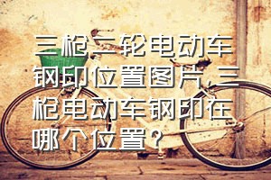 三枪二轮电动车钢印位置图片（三枪电动车钢印在哪个位置?）