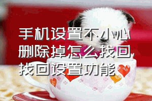 手机设置不小心删除掉怎么找回（找回设置功能）